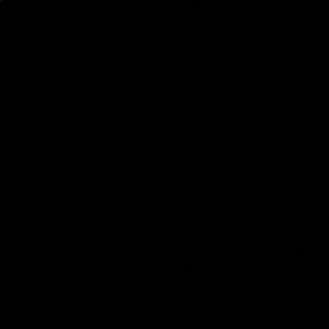 Meet your Posher, Maggie